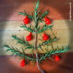 Imagem free de árvore de Natal e Pimenta de biquinho.