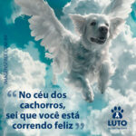 Frase de luto pelo meu cachorro com imagem de cachorrinho no céu