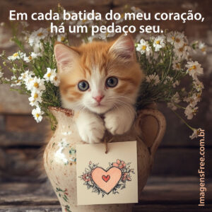 Frase de Amor com imagem de gatinho segurando um cartão com desenho de coração