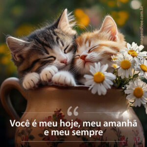 Mensagem de Amor com Foto de Gatinhos Apaixonados e Flores na Janela