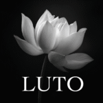 Imagem de Flor de Luto – Flor de Lótus, fundo preto, para baixar imagem em PNG
