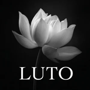 Imagem de flor de luto com foto de flor de Lótus para colocar na foto de perfil