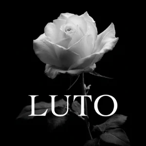 foto de rosa branca em um fundo preto com a palavra "luto" ideal para WhatsApp e Instagram
