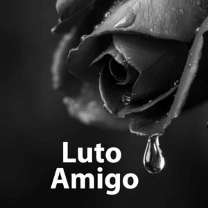 Rosa negra com gotas de orvalho (simulando lágrimas). Frase "Luto Amigo".
