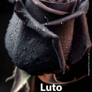 Rosa negra em um fundo preto. Detalhes das gotas de orvalho se destacam na foto. Frase "Luto por um Amigo"