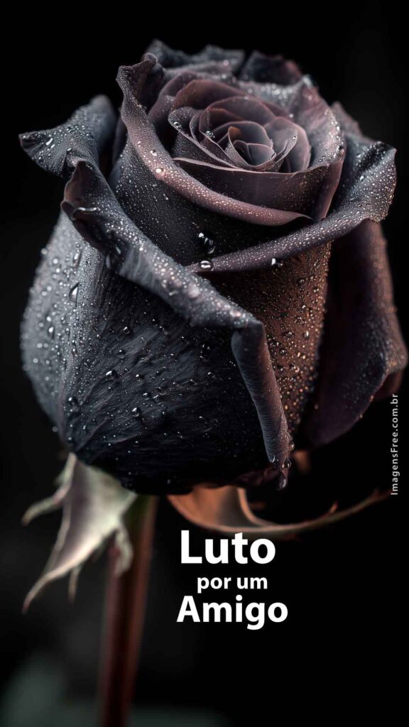 Rosa negra em um fundo preto. Detalhes das gotas de orvalho se destacam na foto. Frase "Luto por um Amigo"