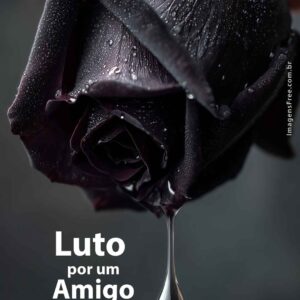 Rosa negra cobre um fundo preto. A rosa tem muitas gotas de orvalho. Uma das gotas está pendurada como uma lágrima como se ela estivesse chorando de saudades. Frase "luto por um amigo"