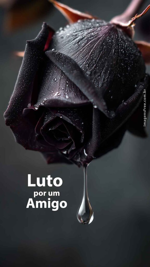Rosa negra cobre um fundo preto. A rosa tem muitas gotas de orvalho. Uma das gotas está pendurada como uma lágrima como se ela estivesse chorando de saudades. Frase "luto por um amigo"